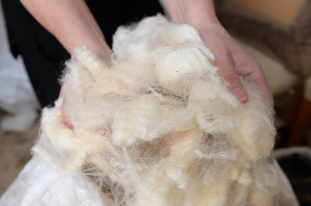 SOFT: The fleece ready to be spun into yarn. Photo: Kate Healy
