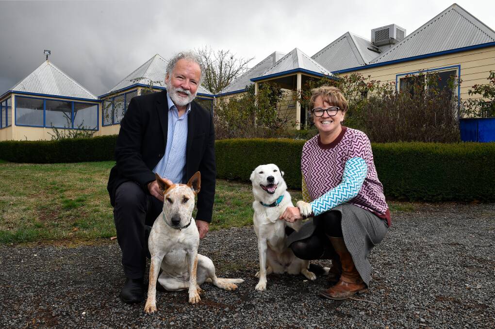 LOOKING FORWARD: Cafs Chief Executive Officer Allan Joy with Coordinator of Youth Services Susie Meadows and the organisation's therapy dogs. Photo: Adam Trafford
