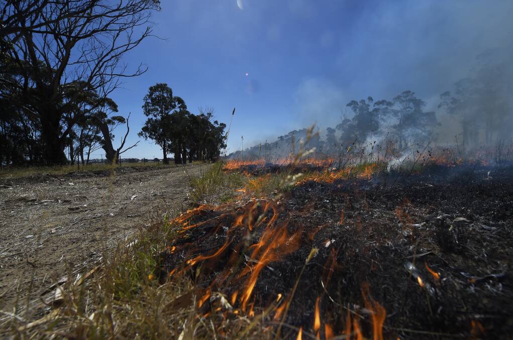 Narrow window: A planned burn at Cape Clear on Sunday was carried out in ideal conditions, days before a total fire ban was issued for much of the state. Picture: Luka Kauzlaric.