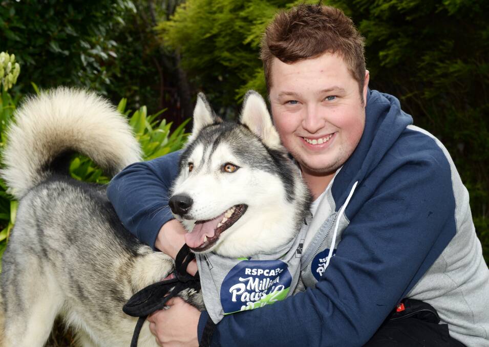 Million paws: Ballarat's Brendan Reynolds with Moony the husky. Ballarat dogs will be among thousands of pets around Australia to show their support for the RSPCA on May 21. Picture: Kate Healy.