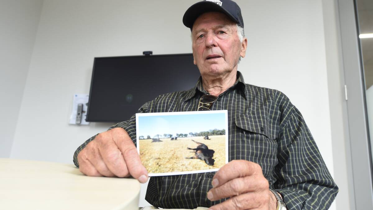 Moyreisk farmer with a photograph of his three cows which were struck by lightning. 