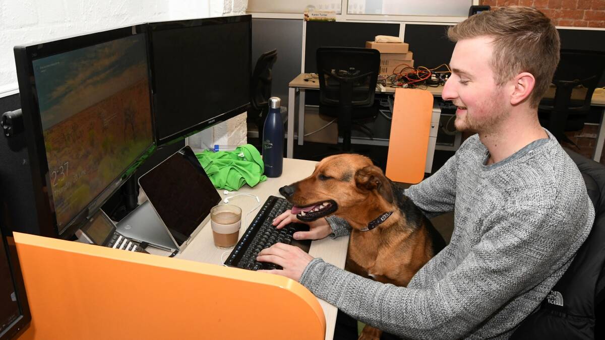Tom Boundy gets to work with his dog Marco at the PETStock office. Photo: Kate Healy.