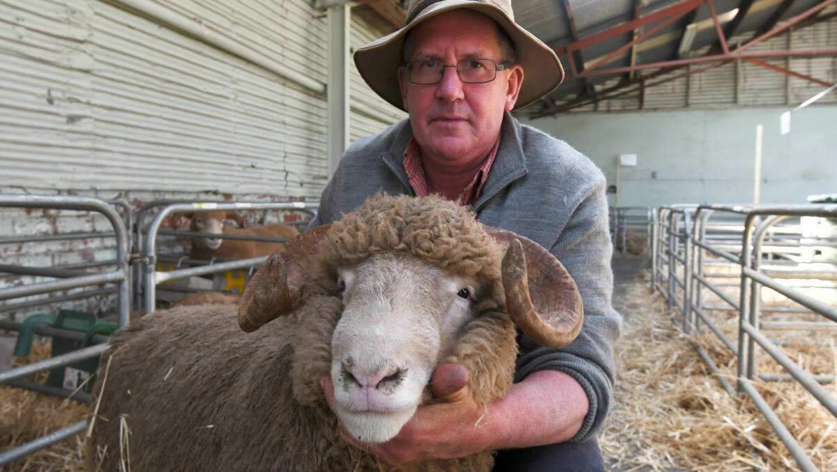 FINE FLOCK: Robert Grieve with one of his prize-winning Dorset Horn rams. Picture: Lachlan Bence. 