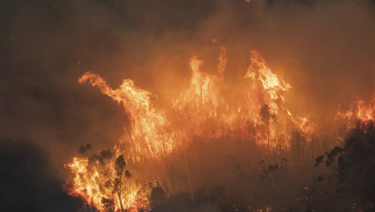 The blazes in East Gippsland. Image supplied by state government