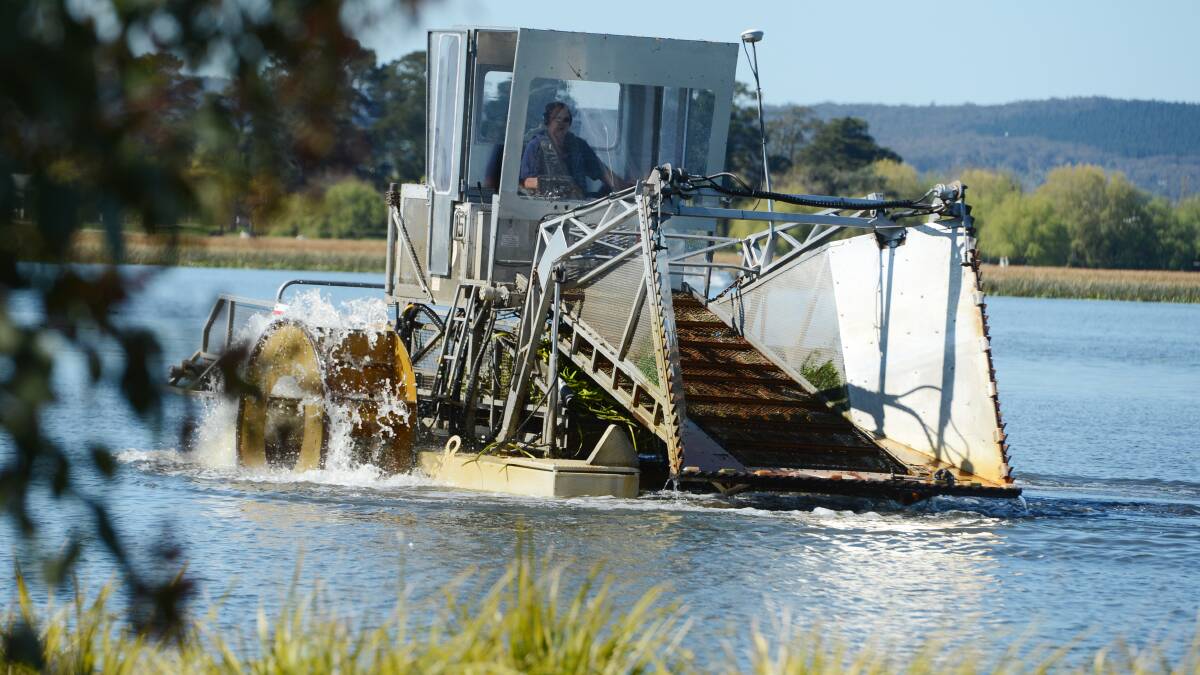 LAKE VIEWS: A new harvester could be three times the size of the existing 'Chopper Weed', seen here in action in 2017. Photo: Kate Healy. 