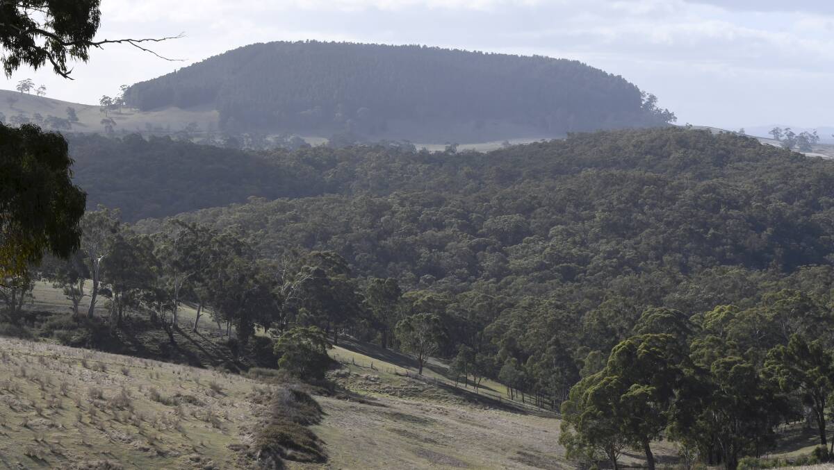 VIEW FROM THE TOP: A panorama from the road leading up to the proposed glamping site. Picture: Lachlan Bence.