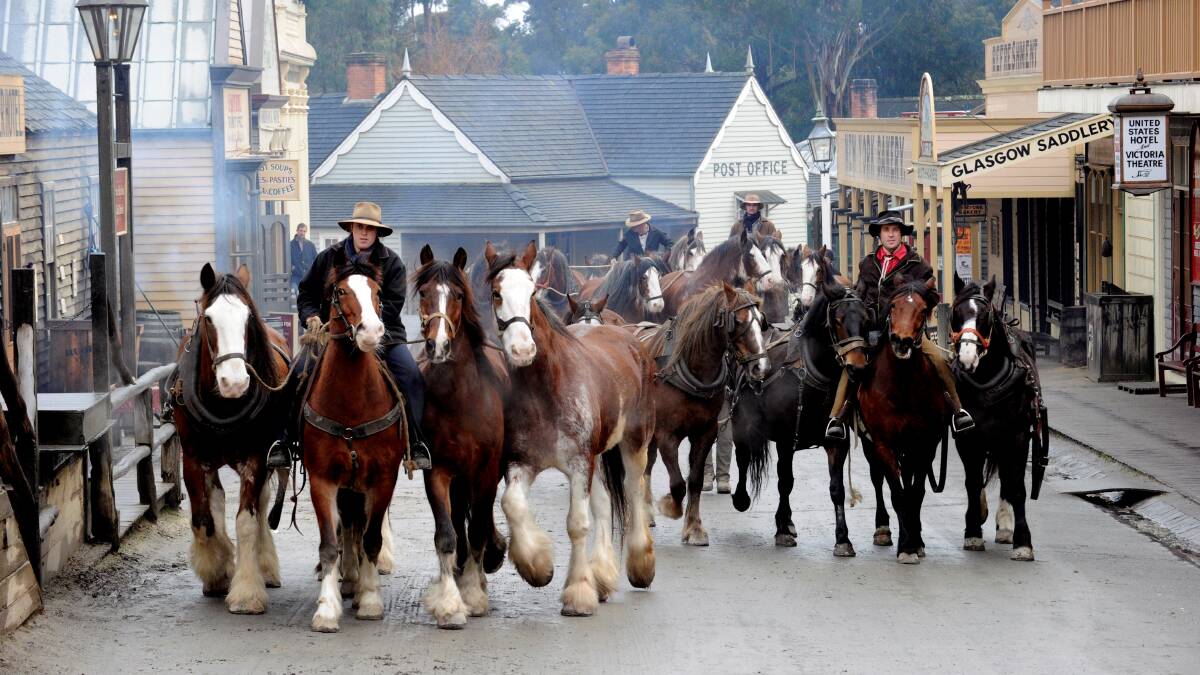 ON THE RIGHT ROAD: Sovereign Hill has sold out of tickets on many occasions this summer.