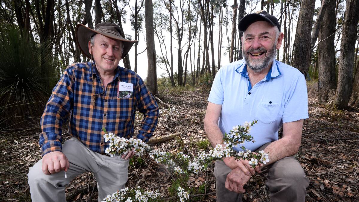 FLOWER POWER: Rob Loveband and Jeff Rootes from the Friends of Canadian Corridor. Picture: Adam Trafford.