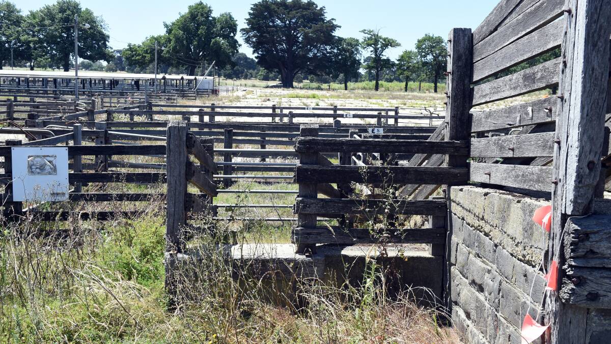 State funds announced to plan future for old saleyards site