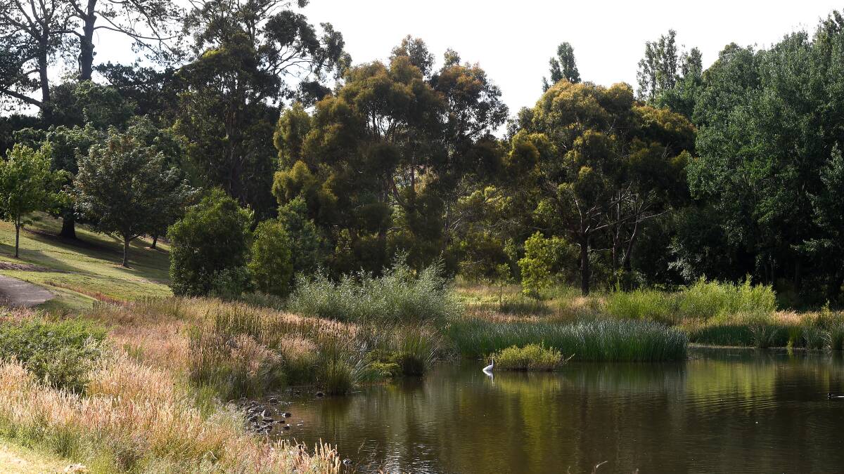 GOING, GOING, GONG: The waters of Buninyong's Gong reservoir, a haven for walkers and wildlife, have been seeping through a dam wall for years. Council now plans to carry out works to reinforce the structure. Picture: Adam Trafford. 