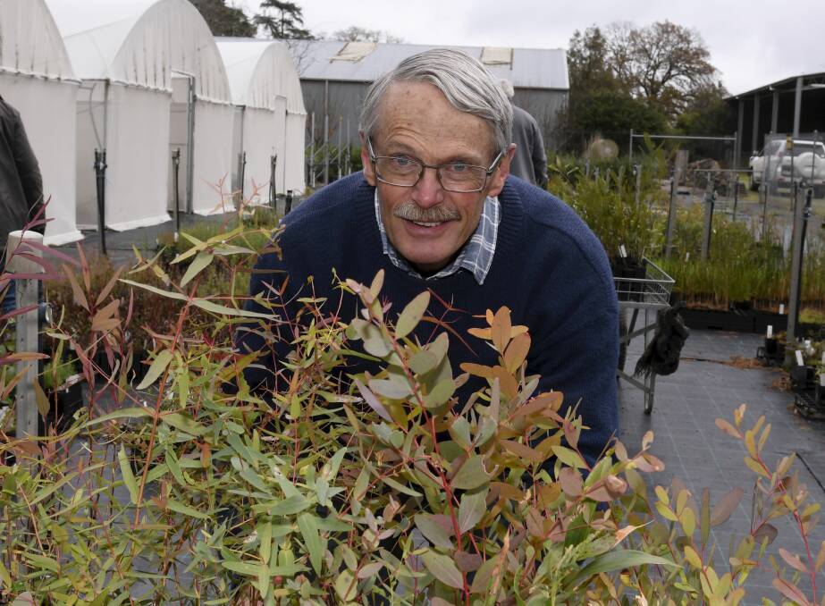 TURNING A NEW LEAF: Roger Thomas has stepped down from managing of the City of Ballarat's indigenous plant nursery. Picture: Lachlan Bence. 