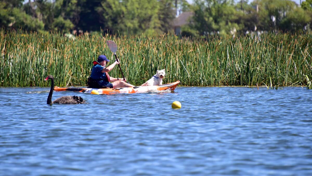 A canoeist enjoying the hot weather on Lake Wendouree. Photo: Brendan McCarthy