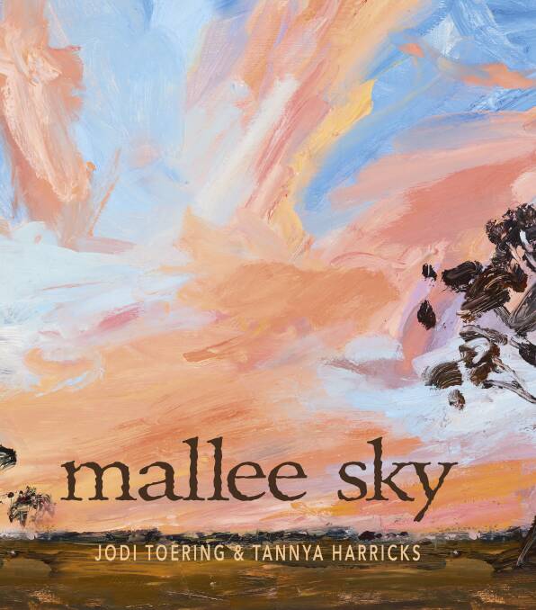 THE SKY IS THE LIMIT: The book cover of Jodi Toering's new book