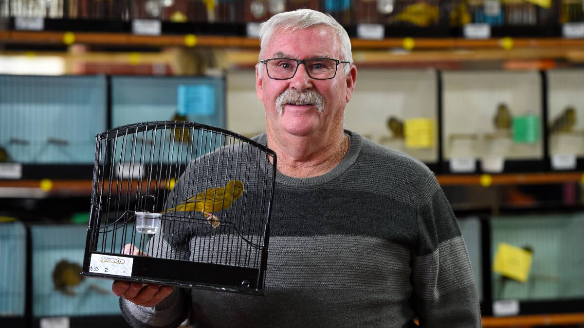 David Gammon, whose border canary won best in its category on Saturday. Photo: Adam Trafford.