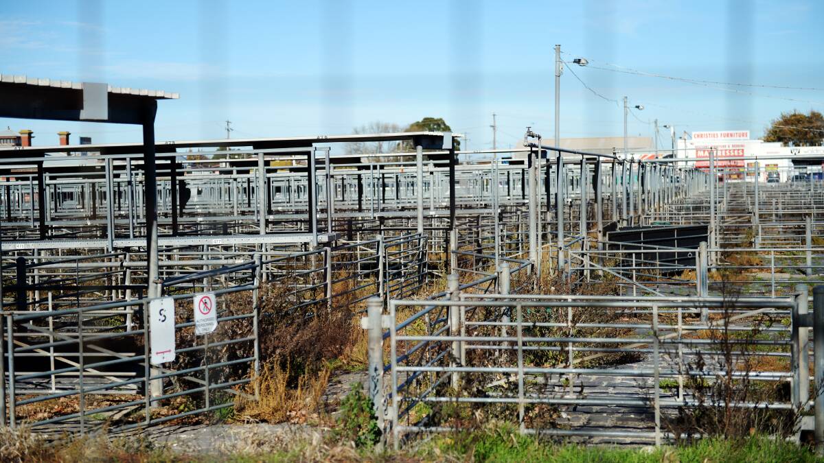 SILENT: After more than 150 years of use, the saleyards fell quiet in October last year. Photo: Kate Healy.