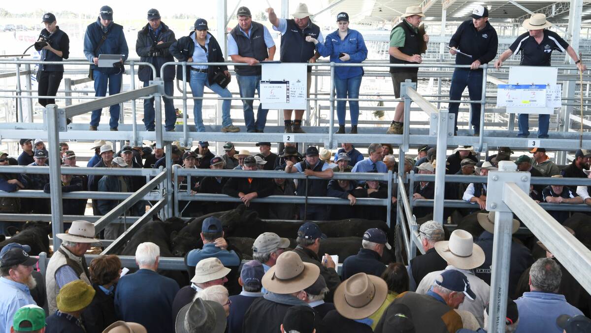 EPA POWERS: The new role will have powers to issue abatement notices, as occurred at the new saleyards in Miners Rest. Photo: Lachlan Bence.
