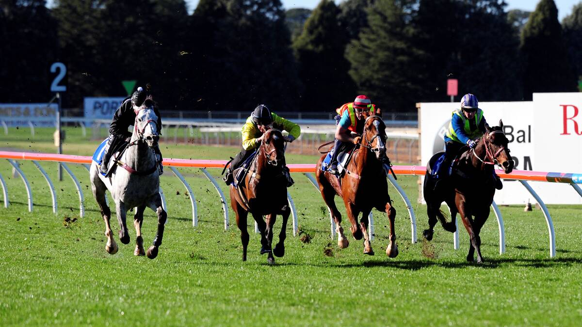 A race at Dowling Forest, which lies at the centre of a drive to grow Ballarat's thoroughbred horse-training industry. 