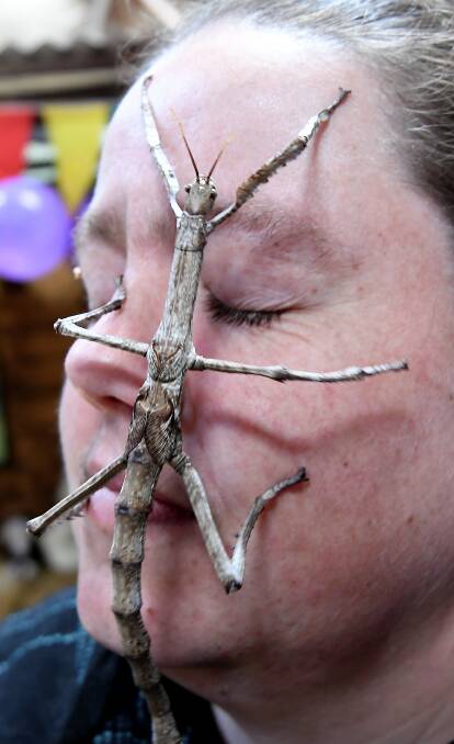 Zoe Jennings and her Goliath stick insect. Picture: Lachlan Bence. 