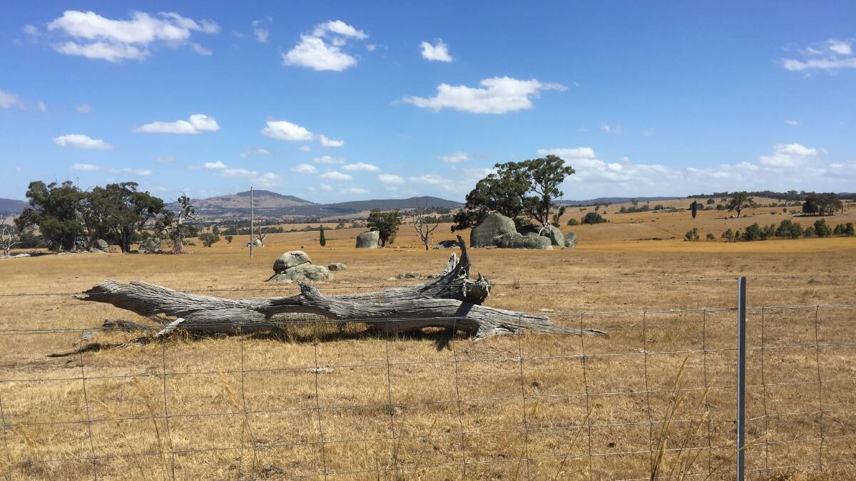 'This was raw, beautiful pastoral land under a big Australian sky'