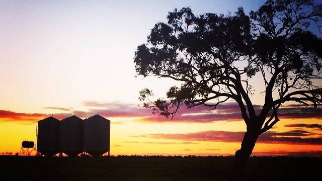 This photograph, of Jodi Toering's family farm at Galaquil, was used as the basis for the book's front cover. Photo: Courtesy Jodi Toering