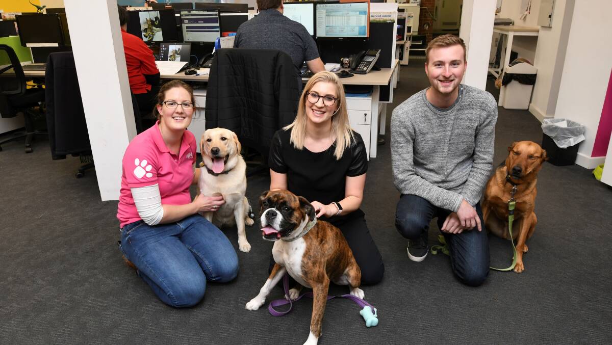 PAWS FOR THOUGHT: Katherine Rickard with Maggie, Chloe Olszewski with Oakie and Tom Boundy with Marco at the PETStock office on Lydiard Street. Photo: Lachlan Bence