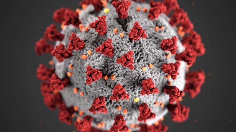 Coronavirus in Victoria: 270 new COVID-19 cases confirmed
