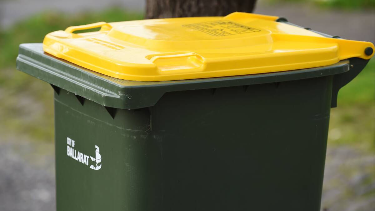 Want a fourth bin? Or a fifth? Big questions for our kerbside recycling loom