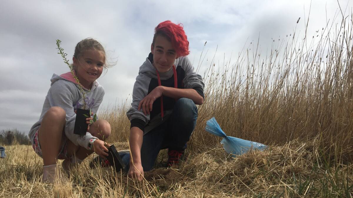 Madeline Steicke, 7, and Dylan Stait, 14, help with the tree-planting organised by the Alfredton Rotary club. Picture: Jolyon Attwooll