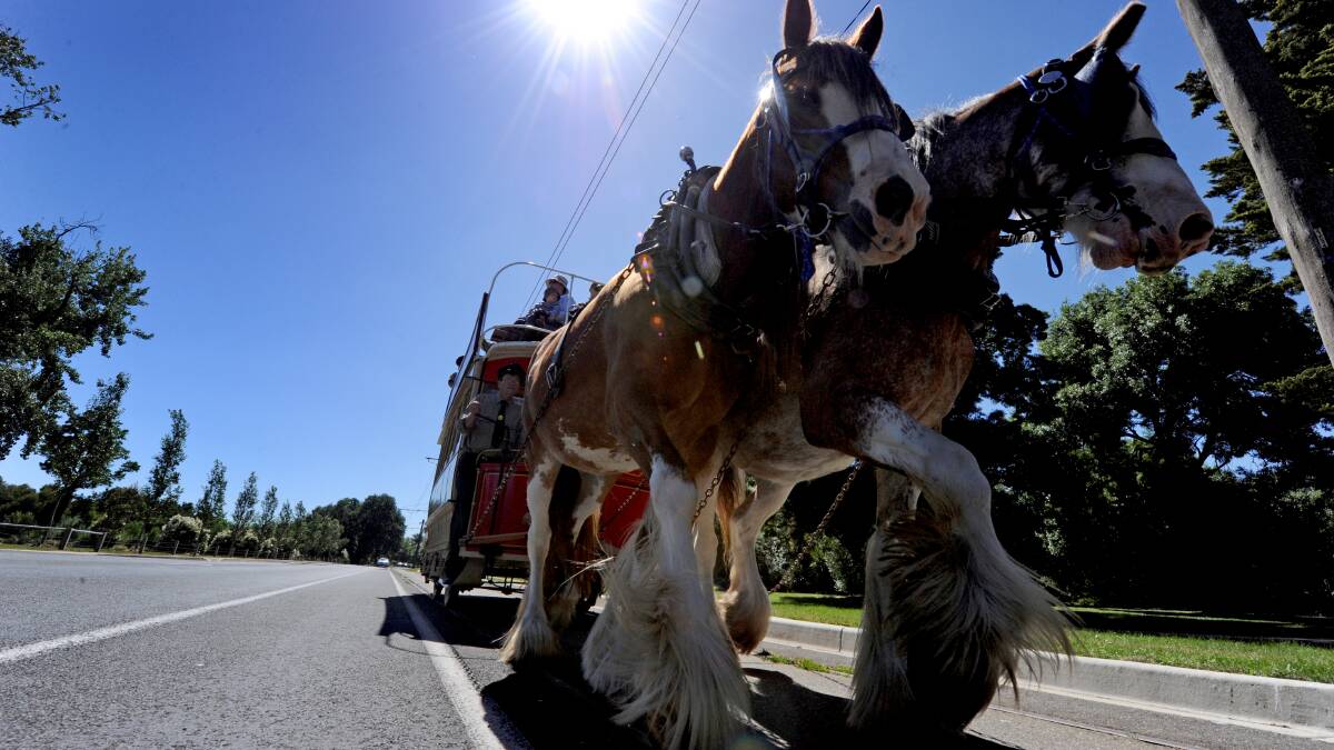 A horse tram operates along the Wendouree Parade tracks back in 2012.