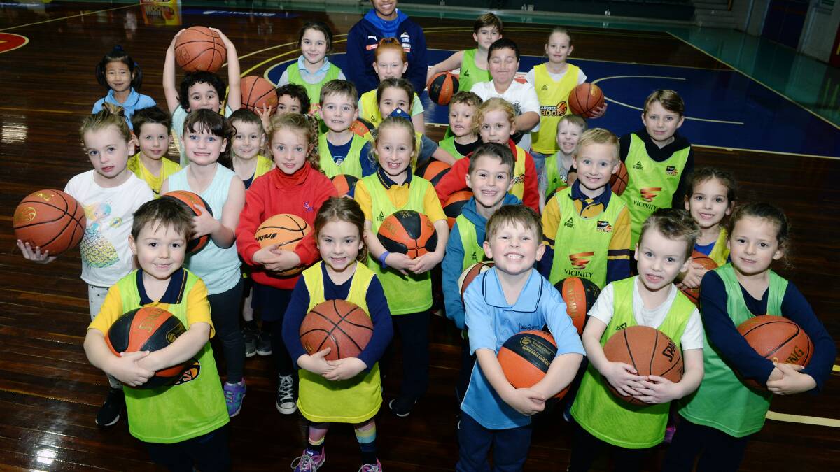 BALLING: Basketball Ballarat has reached a new milestone by fielding 500 domestic teams for the 2019 championship season. 