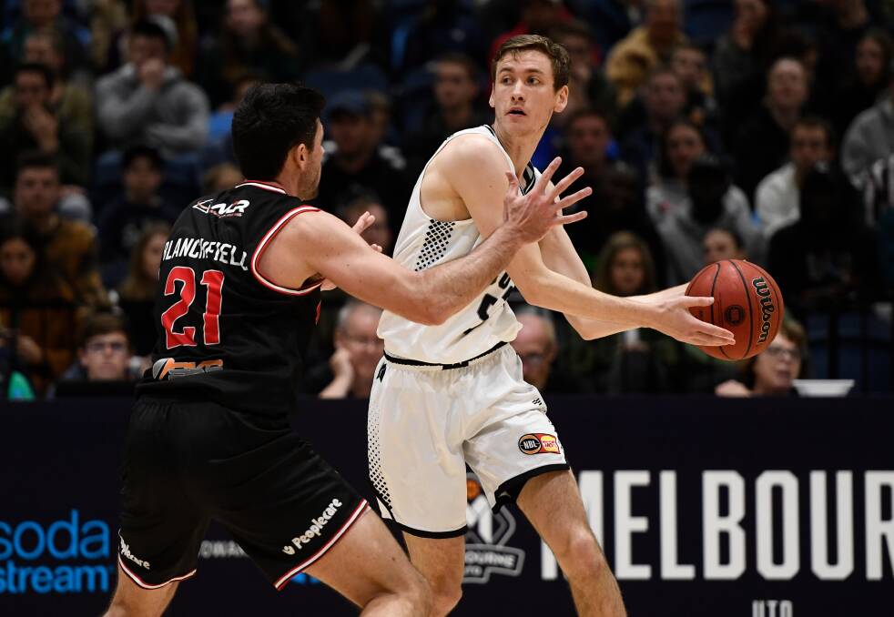 PLAYOFF BOUND: Sam Short in action for Melbourne United.