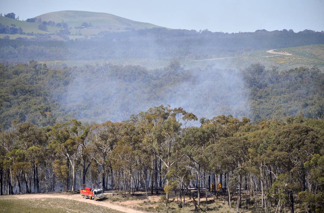 Smoke billows from the fire in the pine forest at Creswick. Dry undergrowth fuelled the fire. Photo: Dylan Burns 