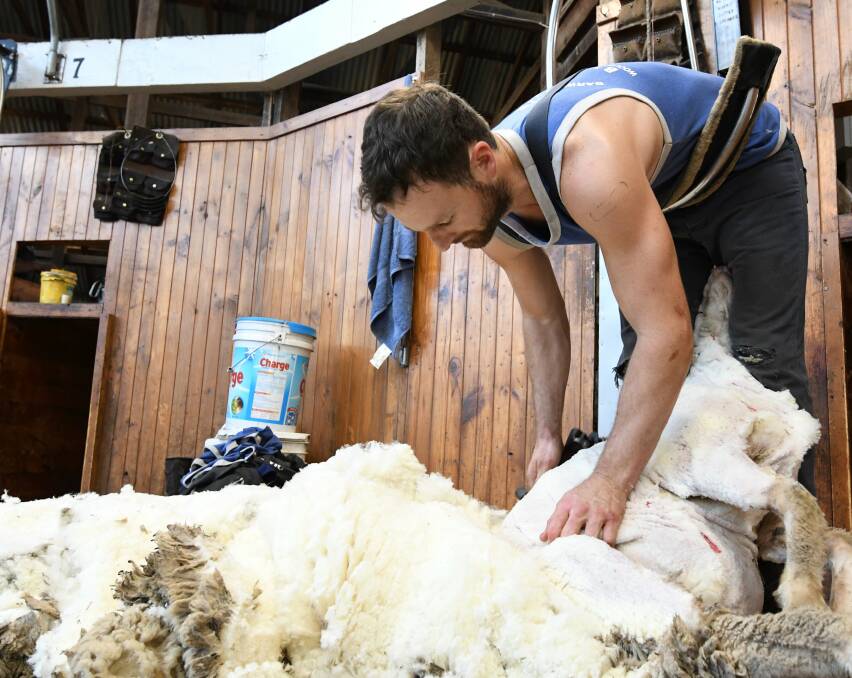 TRAINED: Brad Watts uses the safety harness aimed at reducing the strain on shearers' backs. Picture: LACHLAN BENCE