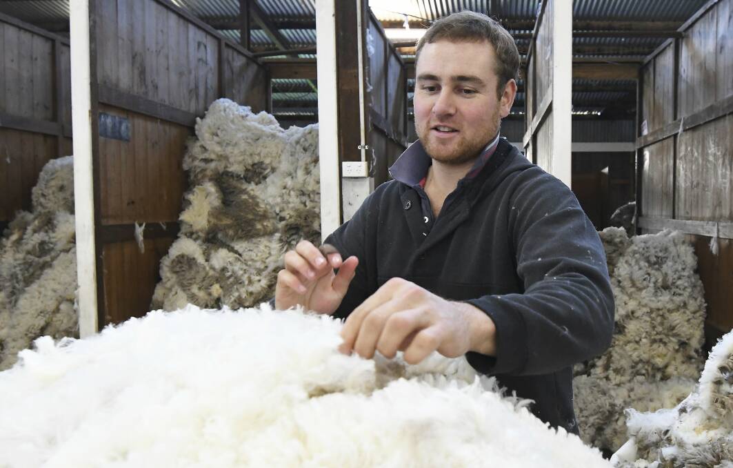 QUALITY: Wool classer, Alistair Ross separates the shorn fleeces according to micron grades and quality. Photo: Lachlan Bence