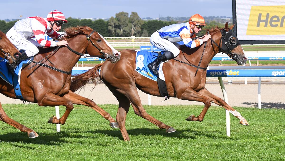 HOME: One Out (Mitchell Aitken) salutes in the Hertz Ballarat Two-Year-Old Maiden in Ballarat on Wednesday. Picture: Pat Scala/Racing Photos.