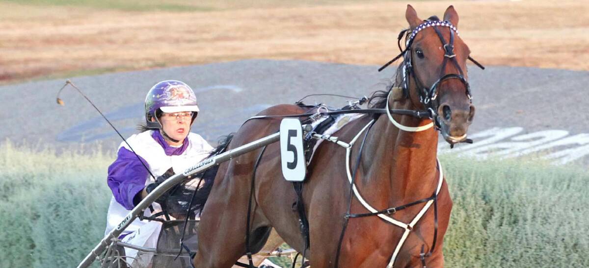 HOMETOWN: It Is Billy (Anne-Maree Conroy) has earned another attempt at his home cup in Ballarat on Saturday night. 