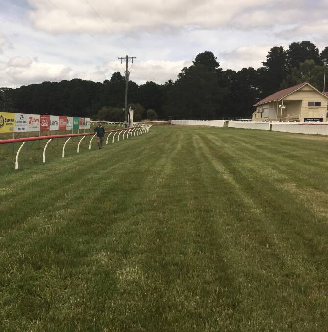 ALL SET: Burrumbeet Park and Windermere Racing Club president Steve Biggin looks over a luch cover of grass in the home straight in readiness for Friday's races.