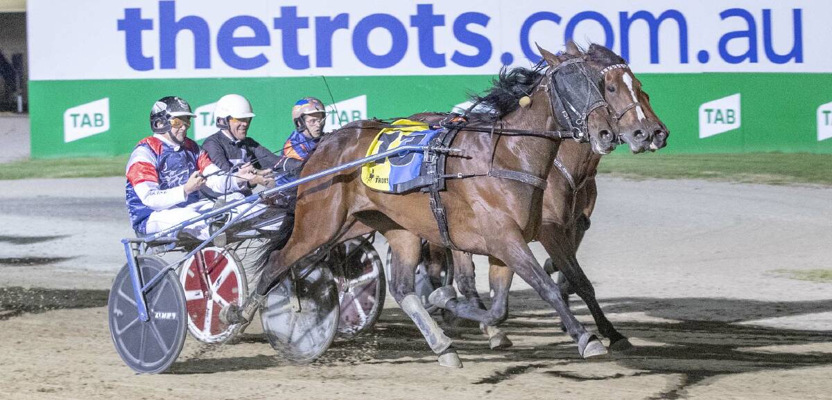 TROTS STAR: Dance Craze (Mark Purdon) edges out Temporale in last year's Great Southern Star at Melton. Picture: Stuart McCormick 