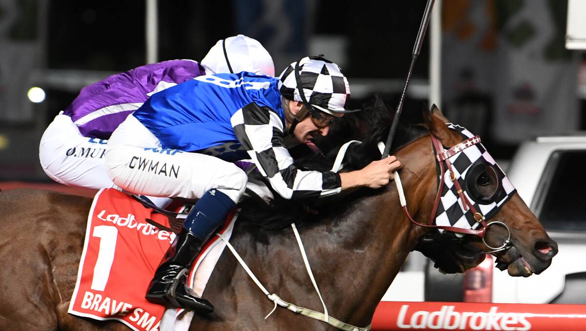 Brave Smash -  in the running for The All-Star Mile. Picture: AAP Images