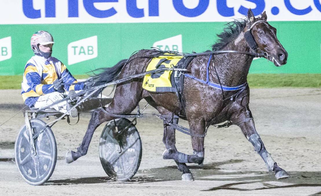 IN THE BLACK: Maryborough Pacing Gold Cup winner Code Black winning at Melton earlier this year. Picture: Stuart McCormick, HRV