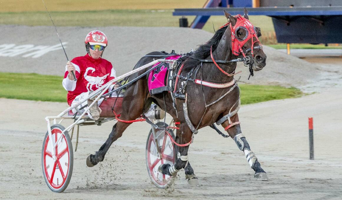 SHINING LIGHT: Ruby Wingate wins the Alabar Home Grown Classic at Melton earlier this year. As he did then, Michael Bellman will again have the reins in the Oaks heat. Picture: Stuart McCormick
