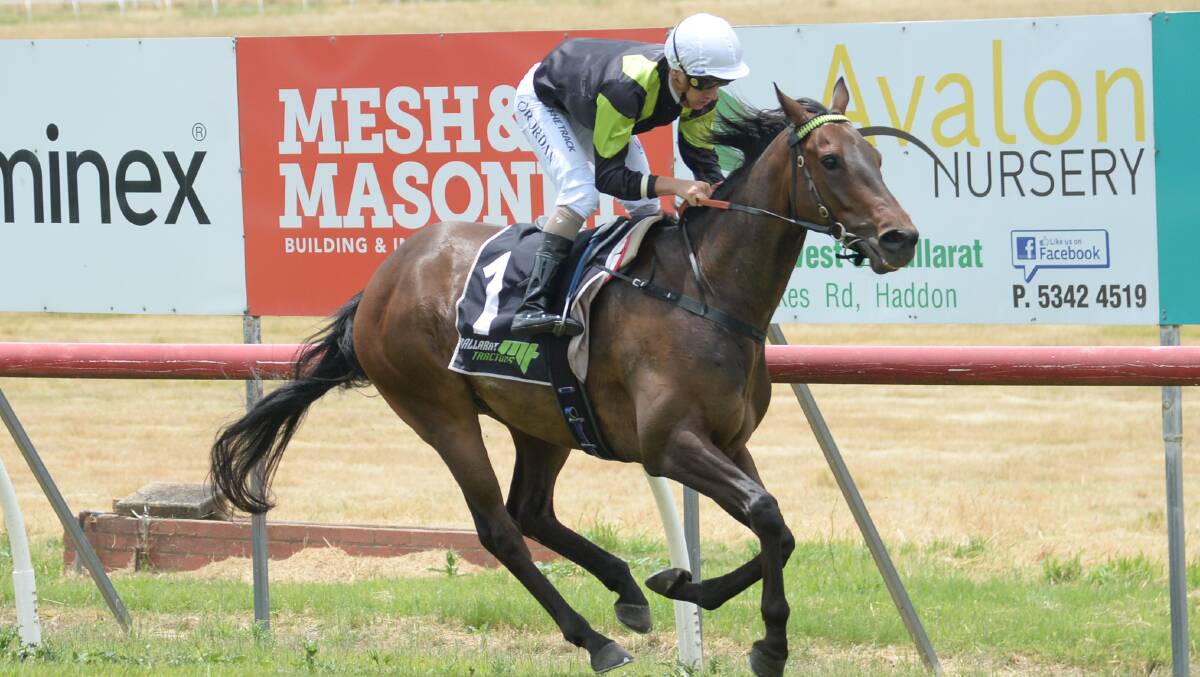 IT'S EVERYTHING: All Or Nothin' (Liam Riordan) wins the Melville Charles Maiden at Burrumbeet. Picture:Ross Holburt/Racing Photos