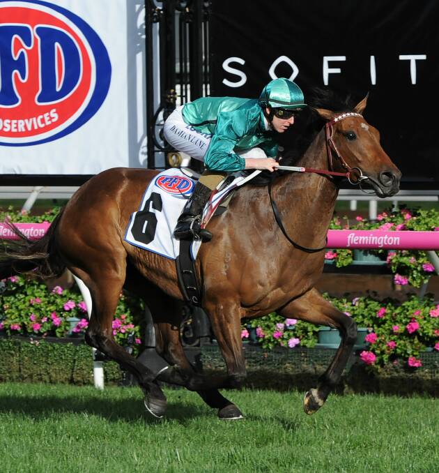 DARREN WEIR STRIKES: Humidor (Damian Lane) coasts home in the group 1 $750,000 Makybe Diva Stakes at Flemington.
