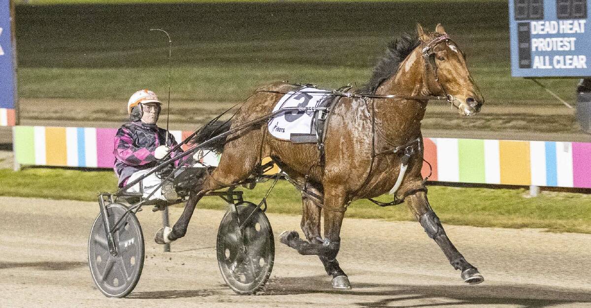 MAJOR ASSIGNMENT: Chris Alford takes the reins of Tam Major in the group 1 Victoria Cup. Picture: Stuart McCormick