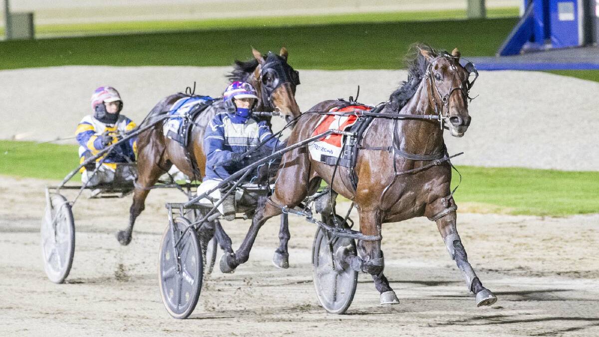 Emma Stewart-trained Compete lining up in the Colin & Heather Holloway 3yo Classic in Ballarat. Picture by Stuart McCormick/HRV.