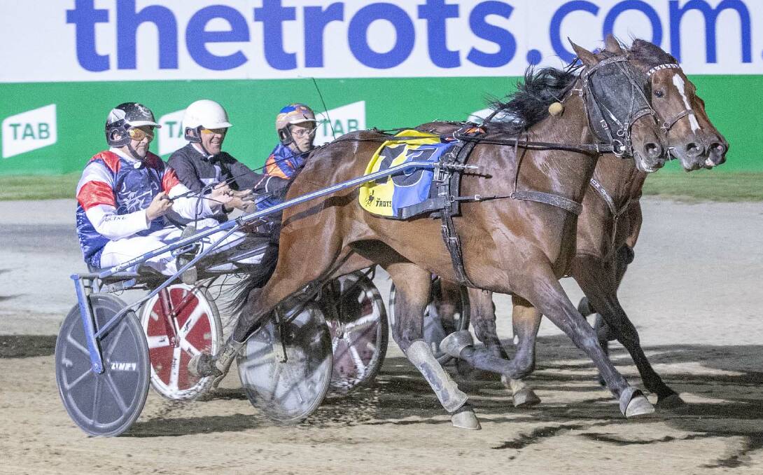 GREAT RUN: Star trotter Dance Craze (Mark Purdon) hits the lead in the group 1 Great Southern Star. Picture: Stuart McCormic, HRV