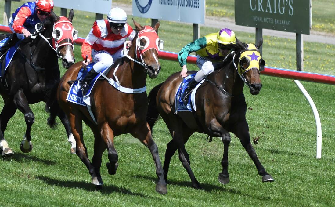 MAIDEN BREAKER: Henry's Affair is urged to the line by Chelsea McFarlane in The Hotham last year.