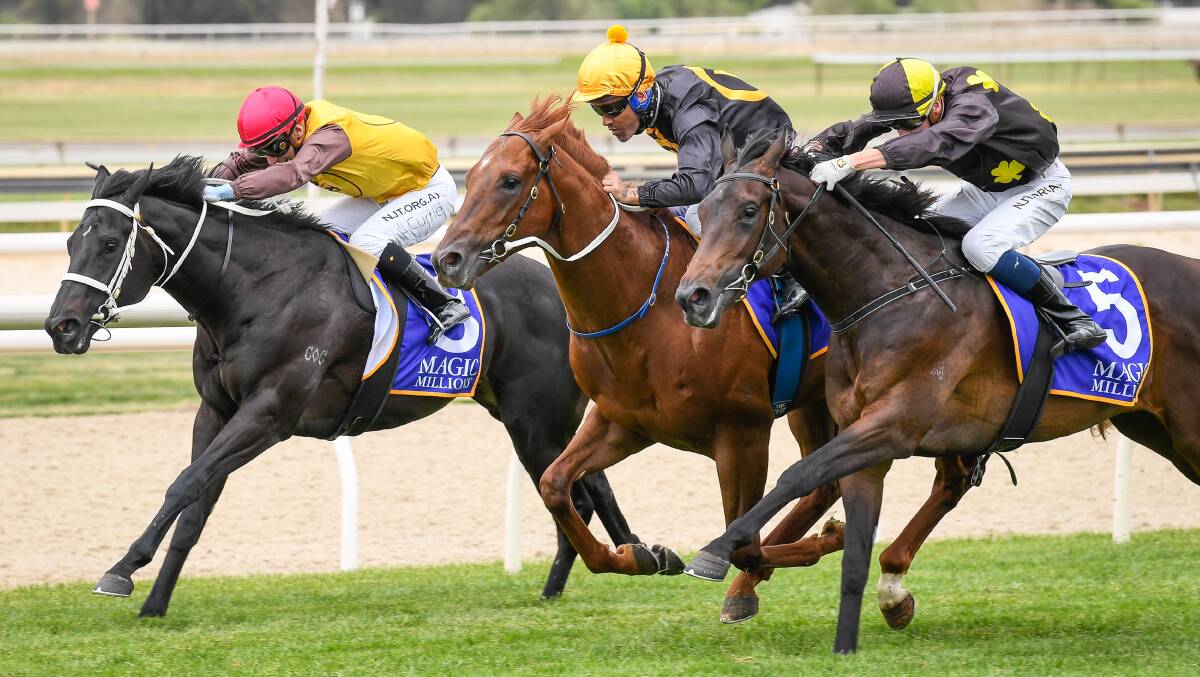 BULLISH: Readily Availabull (Michael Dee) finisahed hard in the $250,000 Magic Millions 2yo Clockwise Classic. Picture: racing Photos