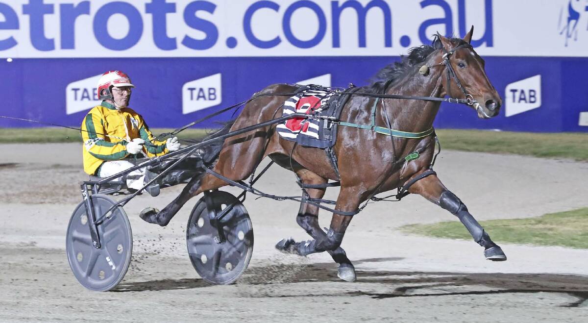 Centenario (Chris Alford) scores in an APG 2yo colts/geldings heat at Melton. Pictures: Harness Racing Victoria