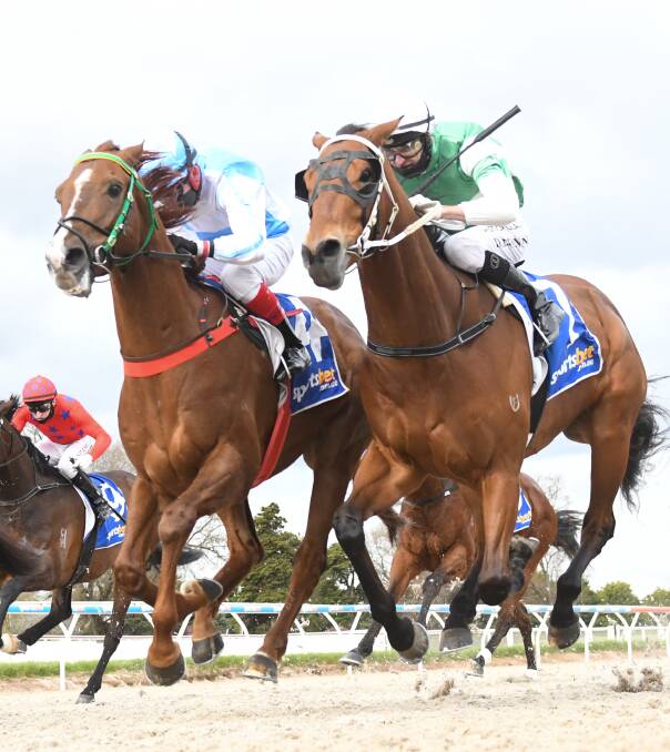 JUST: Design Rouge, left, works his way past sinde runner No Change to get the money in the $50,000 Porter Plan Cup in Ballarat. Picture: Racing Photos